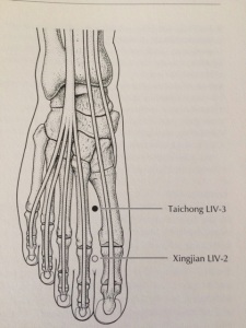 Picture is from A Manual of Acupuncture by Peter Deadman.